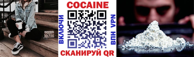где купить наркоту  Козьмодемьянск  COCAIN Fish Scale 
