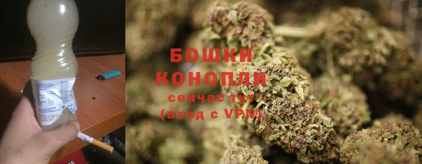 гидра Богородск
