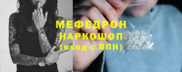 гидра Богородск