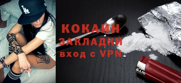 гидра Богородск